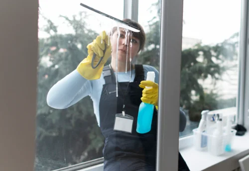 Nettoyage de vitres intérieures et extérieures à Goupillières